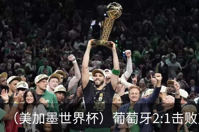 （美加墨世界杯）葡萄牙2:1击败克罗地亚 C罗获世界杯淘汰赛首球